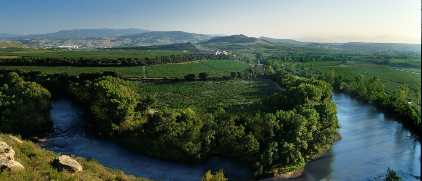 Walking through vineyards